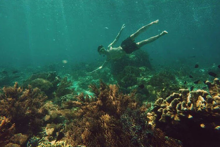 gambar