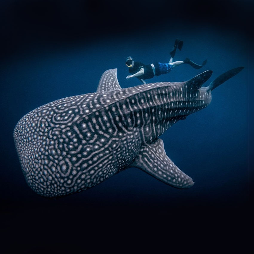 putera segara lombok one day tour packages